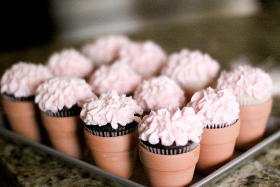 mini cupcakes in tiny pots