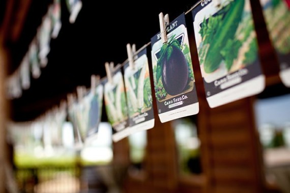 seed packet escort cards