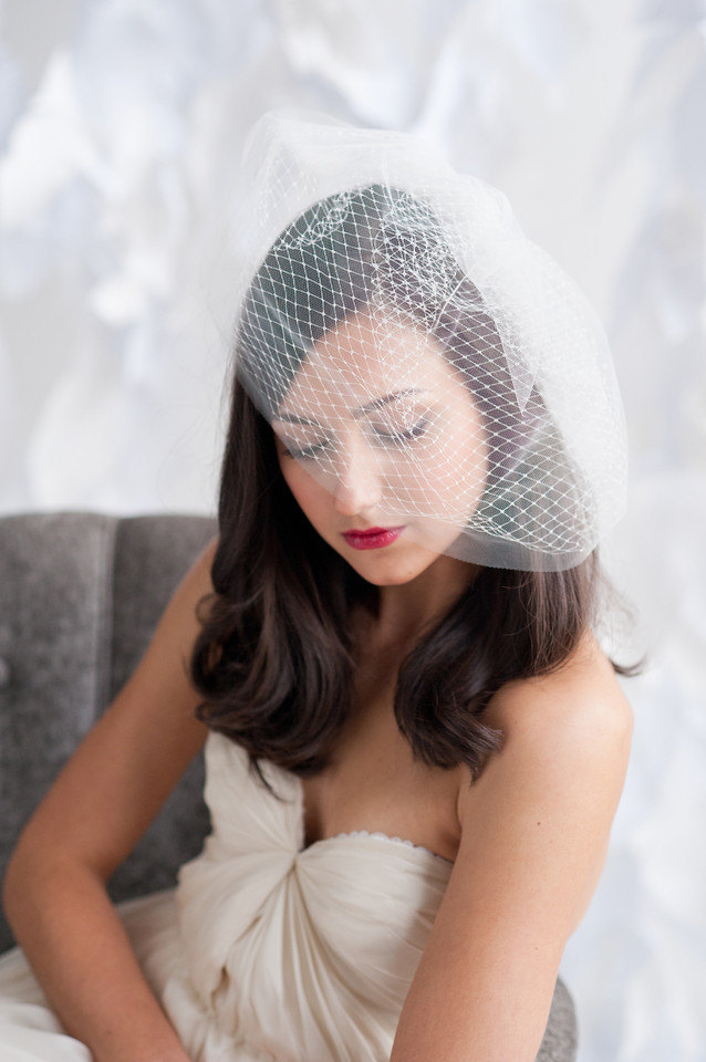 glamorous double layered birdcage veil