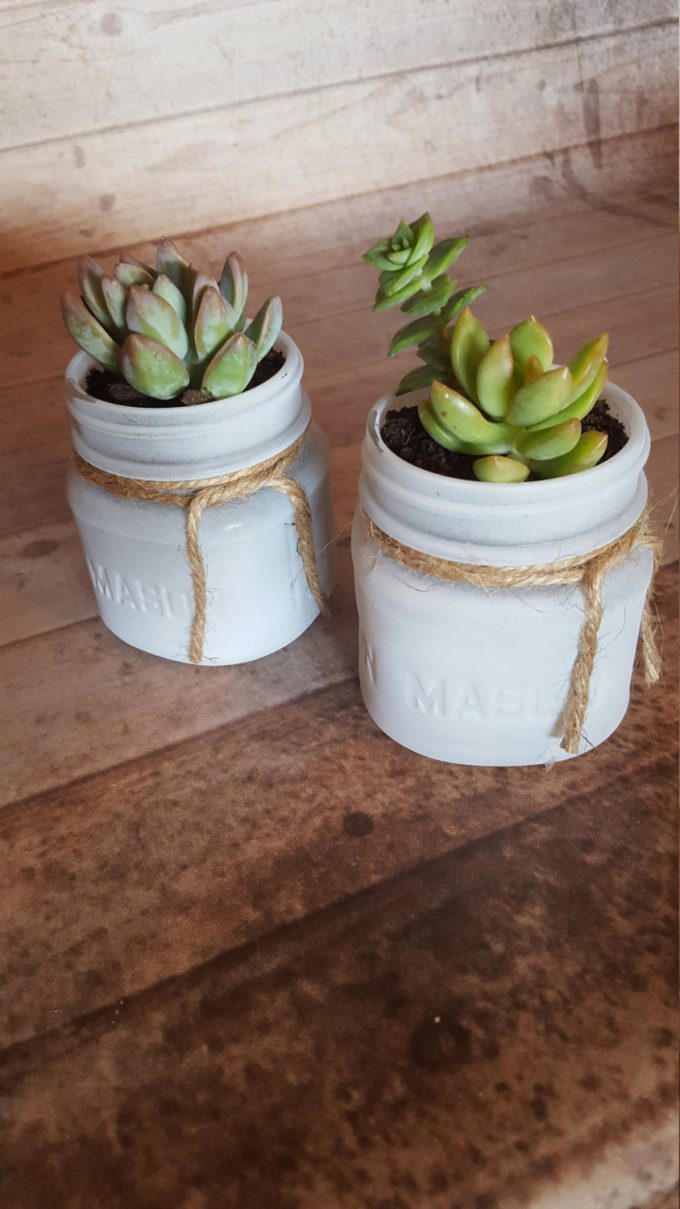 Succulents in Mason Jars Favor Idea for Weddings
