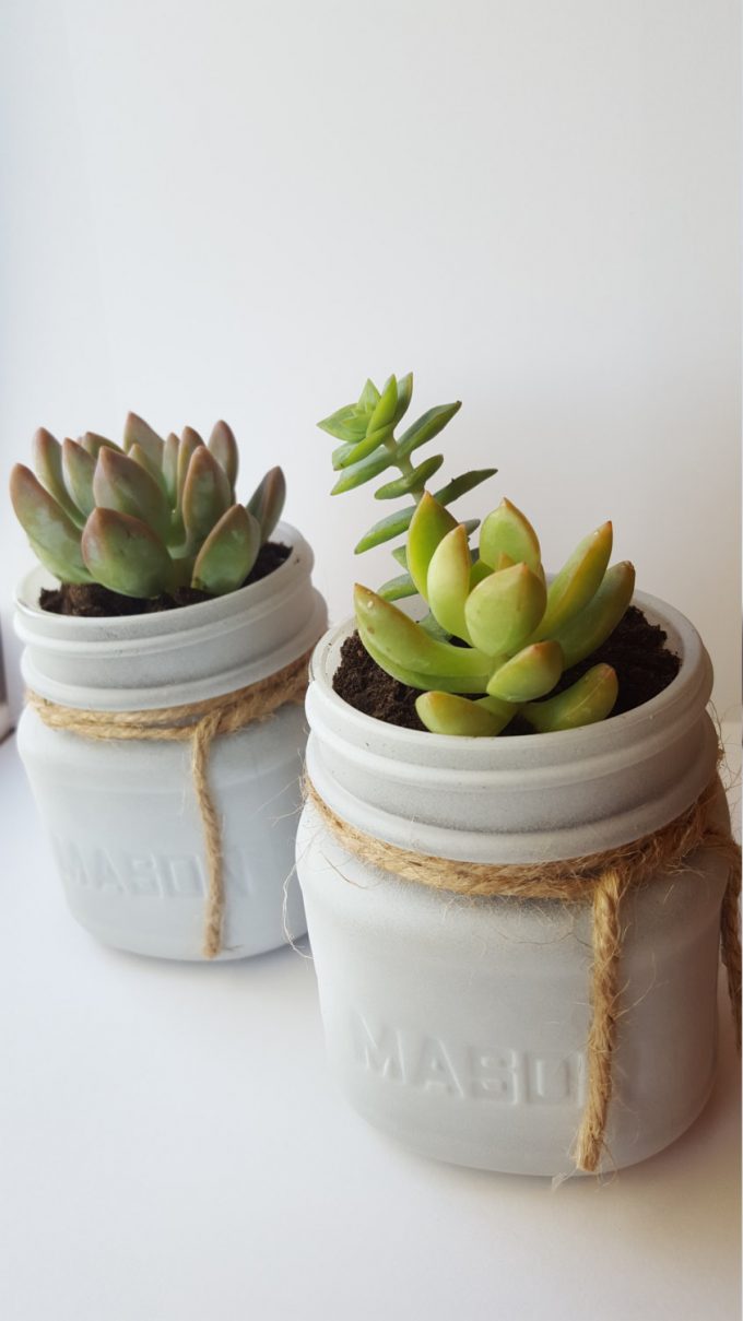 Succulents in Mason Jars Favor Idea for Weddings