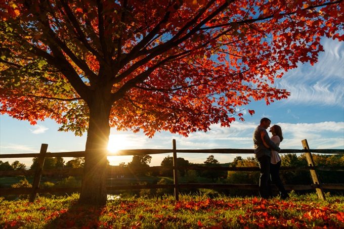 sunset peeking out during fall engagement session| engagement photography by Butler Photography LLC.| Love Fall Weddings? See this Somers, CT Engagement Session - https://emmalinebride.com/real-weddings/love-the-fall-weddings-see-this-somers-ct-engagement-session/
