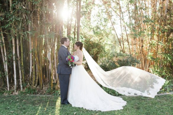 Wedding veils, like sashes, can be pretty darn expensive -- well, that is, unless you know where to look. And we've done some serious digging for you to make sure you know where to find the best cheap bridal veils that look beautiful...