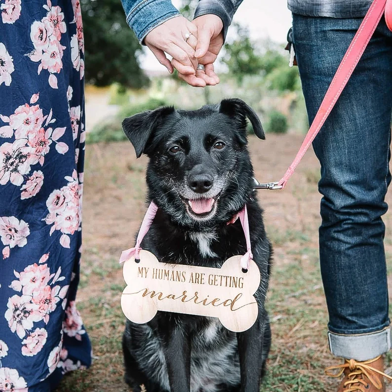 10 Cutest Ways to Include Dogs in Weddings