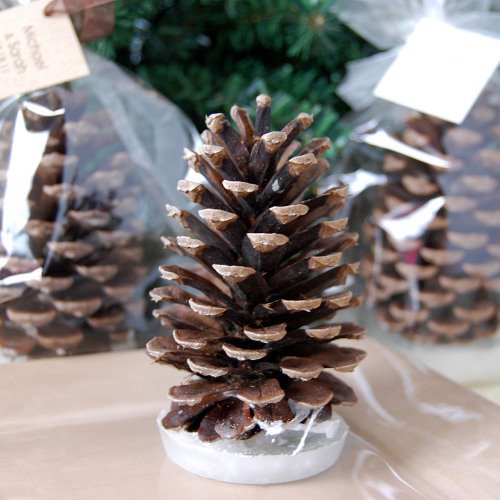 pinecone fire starters