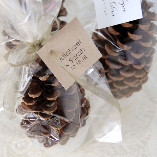 pinecone fire starters