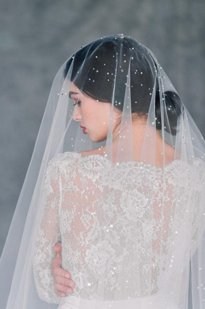 wedding veil with crystals