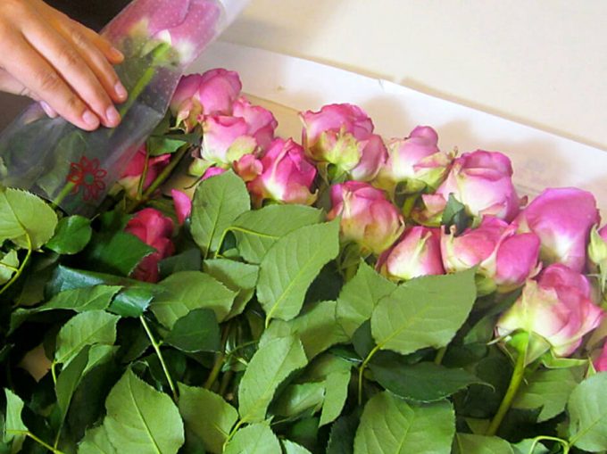 where to buy bulk flowers online