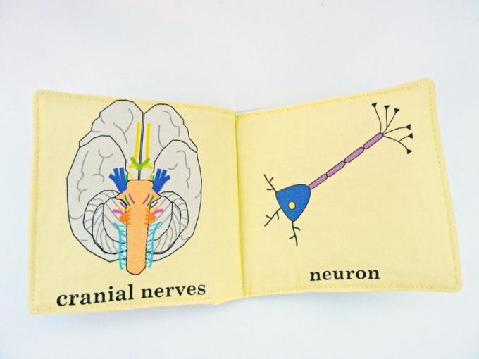 science baby book