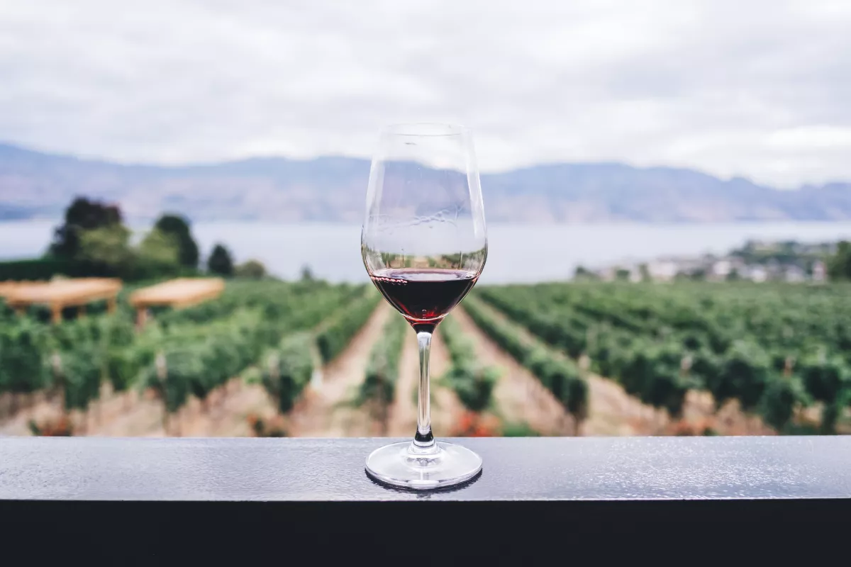 experience gift package for maid of honor including memorable wine tastings or elegant dining experiences