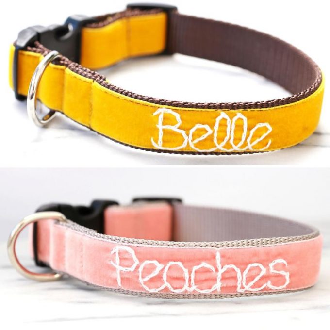 velvet collar for dogs