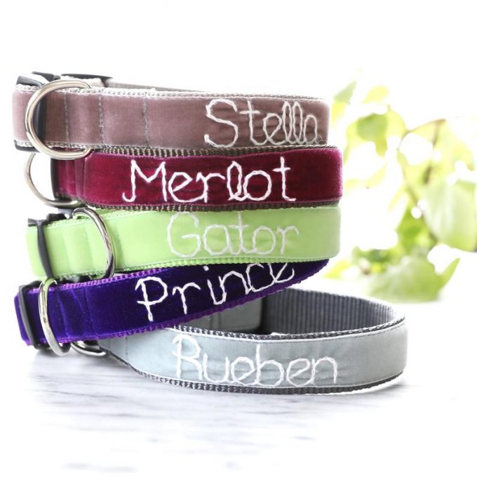 velvet collar for dogs