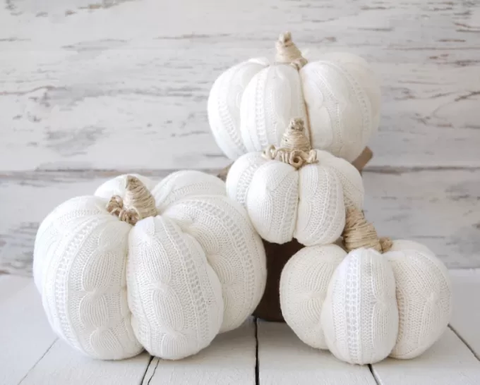 white pumpkins in bulk for decorating
