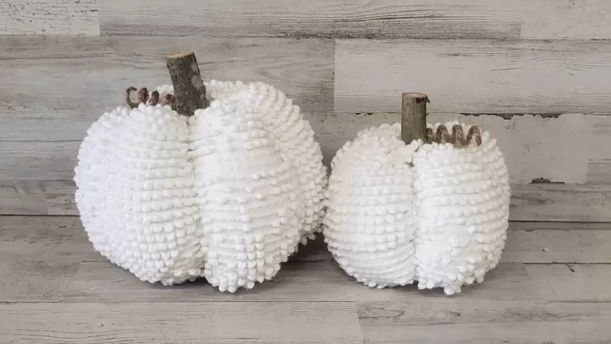 white pumpkins for decorating