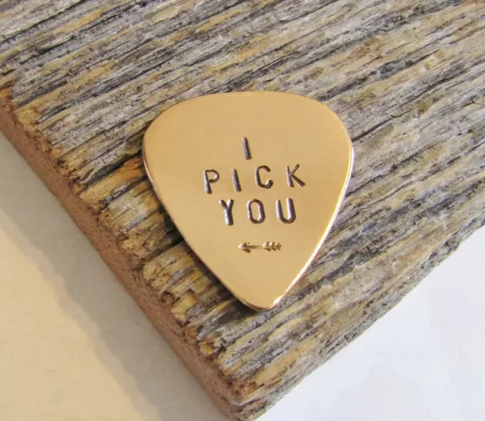 i pick you guitar pick