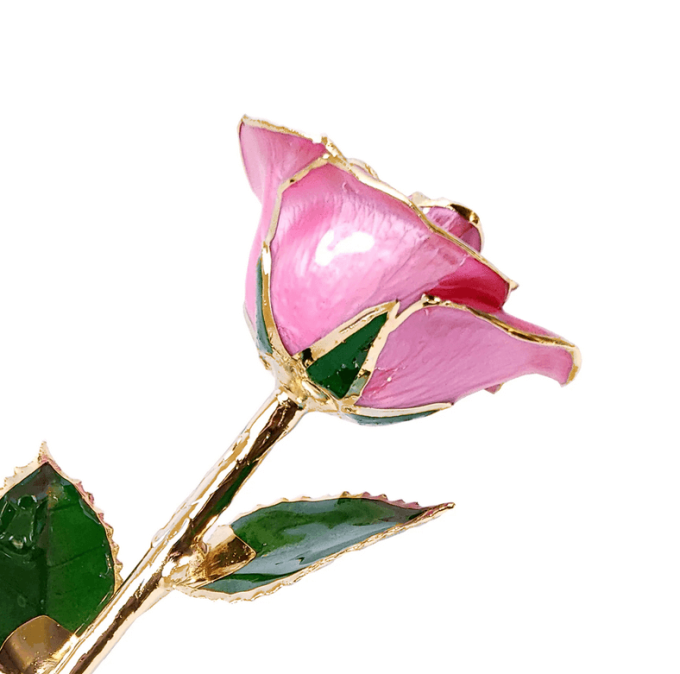 pink rose that has been dipped and preserved in gold