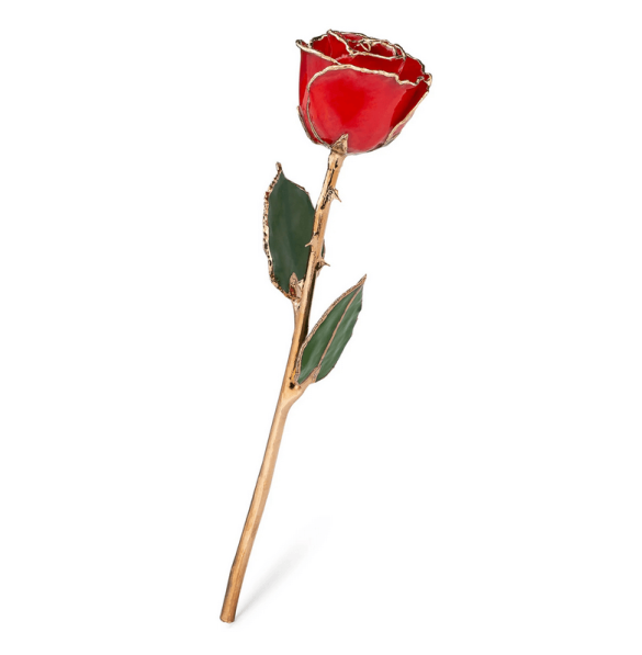 red dipped rose with gold foil