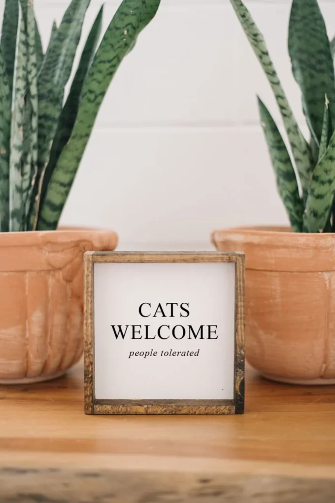 cats welcome people tolerated sign