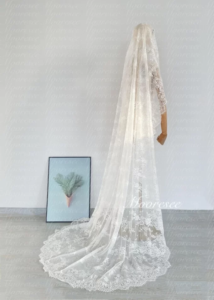 Vintage eyelash lace veil Spanish style