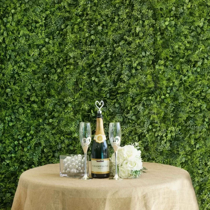 boxwood backdrop wall