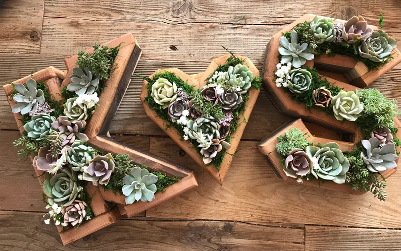 Succulent wedding centerpiece without flowers styled on a reception table with modern planters