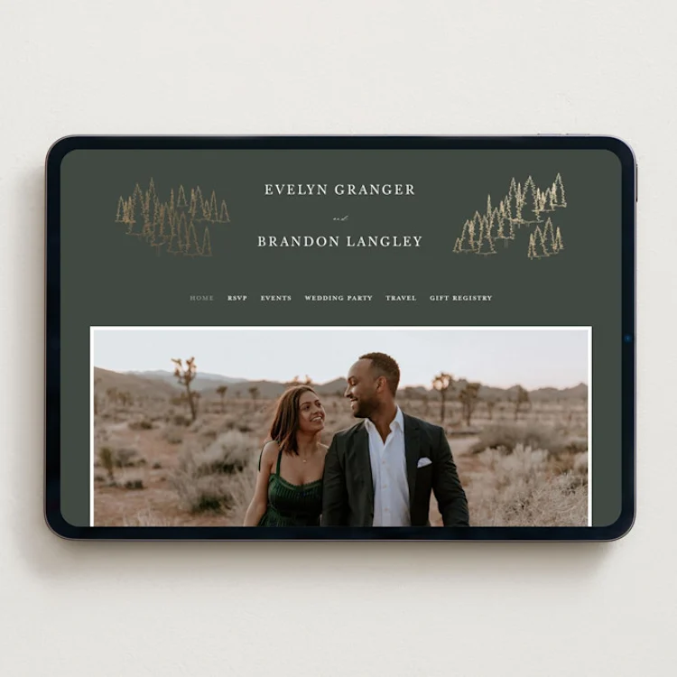 Example of a couple's wedding website where the printed or digital save the dates can link for more information