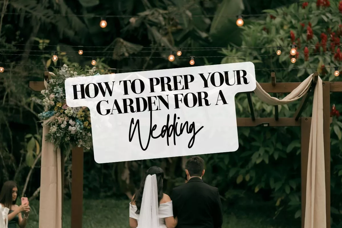 tips to prepare your backyard for a wedding ceremony outdoors in the garden