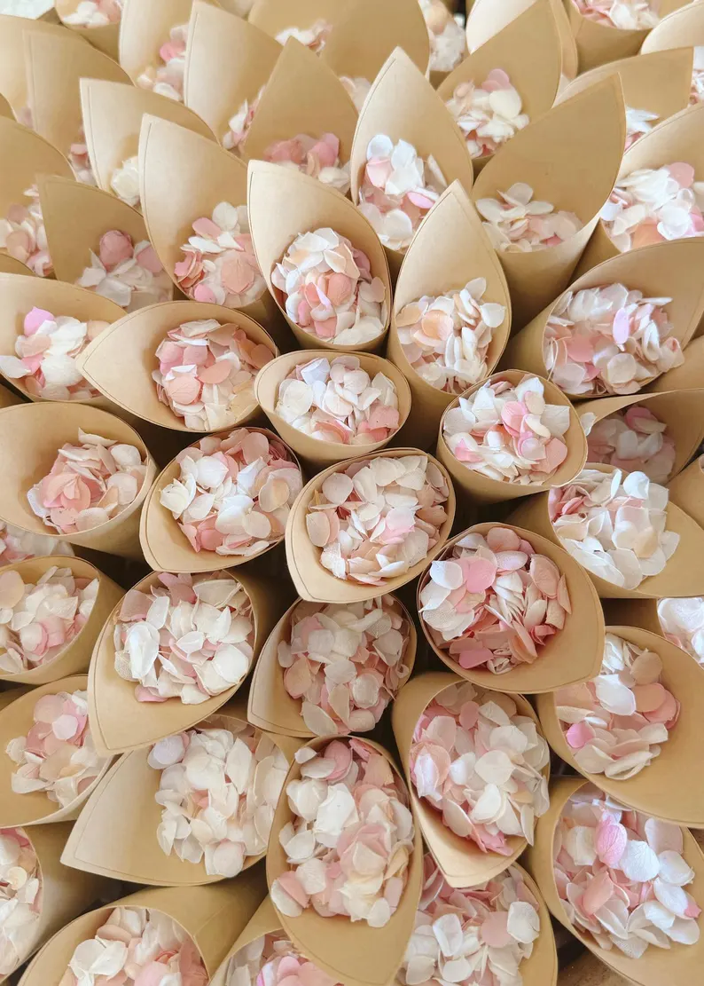 dried flower confetti cones