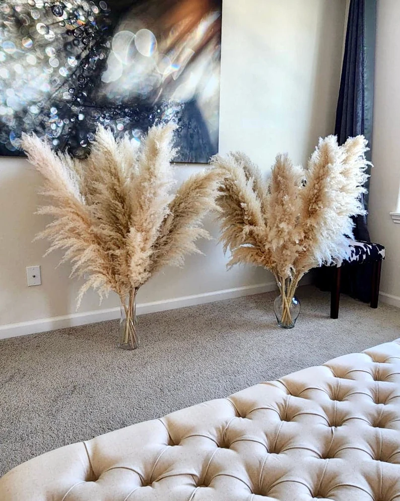 pampas grass large fluffy