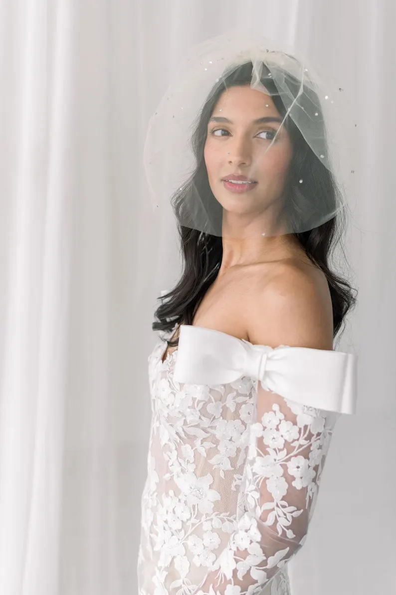 crystal tulle veil that covers the face