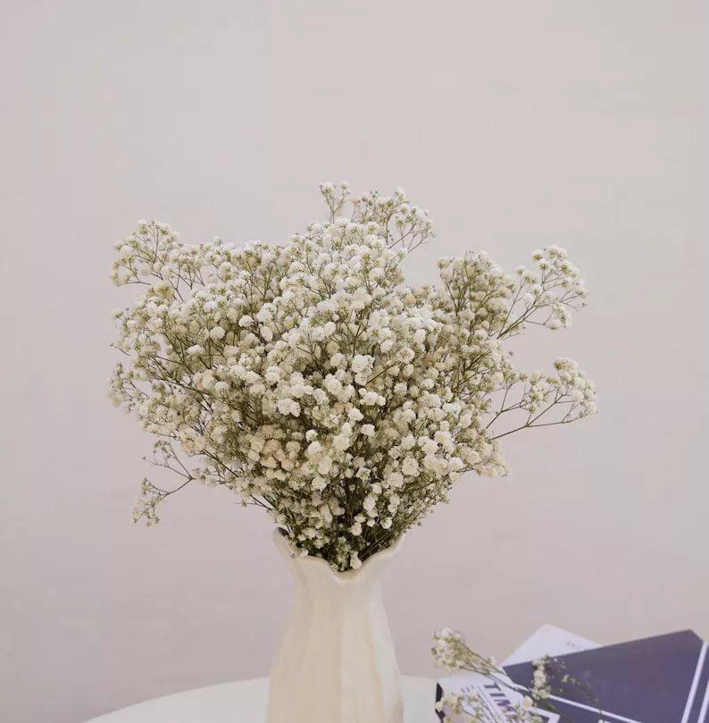 dried baby's breath bouquet