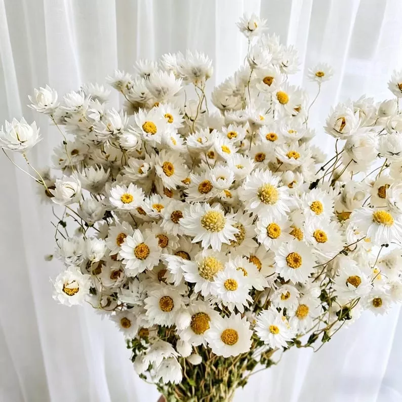 dried daisy bouquet