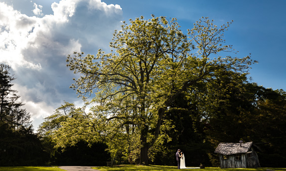 Daniel Fugaciu Photography - first look under tree - tyler arboretum wedding