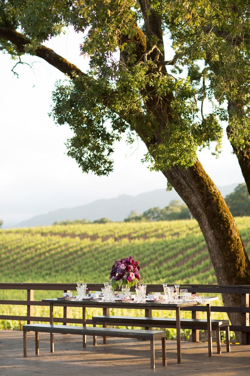 Intimate Wedding Reception Table at Winery (photo: olivia smartt) https://emmalinebride.com/themes/winery-style-wedding/