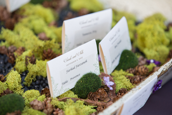 Johnstone Studios - lake tahoe wedding - moss wedding table cards