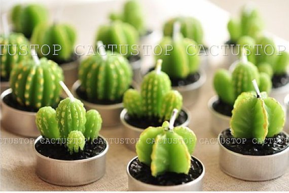 cactus top candles by cactustop
