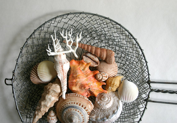 chocolate seashells (via Coastal Wedding Invitations)