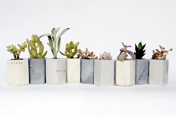 concrete planters for cactus weddings by encave