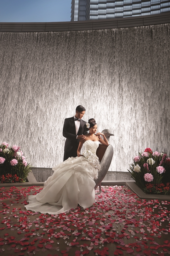 Plan a Las Vegas Wedding - Waterfall