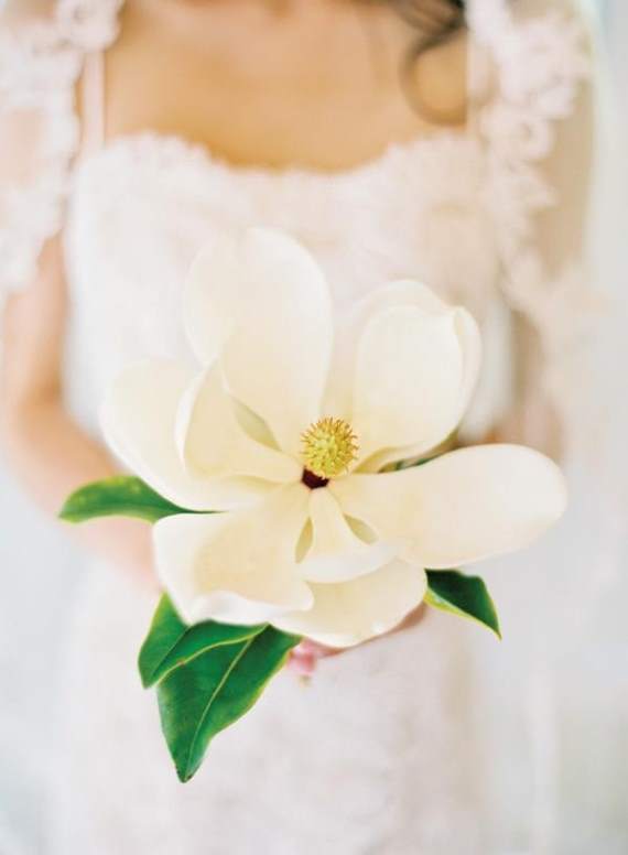 Magnolia Single Stem Bouquet - photo by Jose Villa