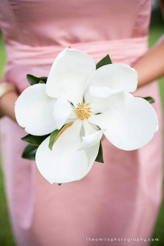 Magnolia Single Stem Bouquet - photo by Theo Milo