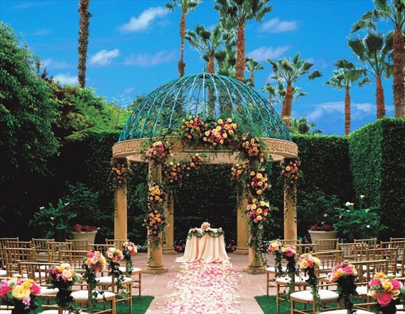 The Ritz-Carlton Marina Del Rey - the rose garden