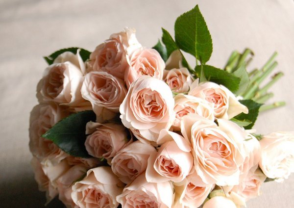 rose wedding bouquet - diy | rose bouquets weddings via https://emmalinebride.com/bouquets/rose-bouquets-weddings/
