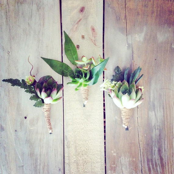 succulent boutonnieres for rustic wedding | via What Kind of Boutonniere to Pick (and Why) https://emmalinebride.com/groom/what-kind-of-boutonniere/