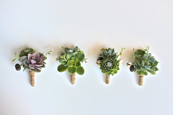 succulent boutonnieres | via What Kind of Boutonniere to Pick (and Why) https://emmalinebride.com/groom/what-kind-of-boutonniere/