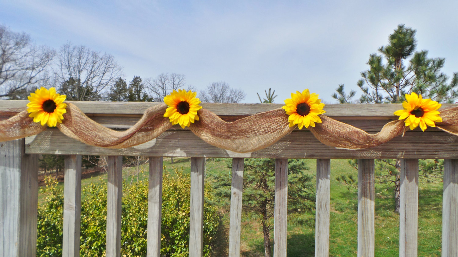 sunflower banner by jcbees