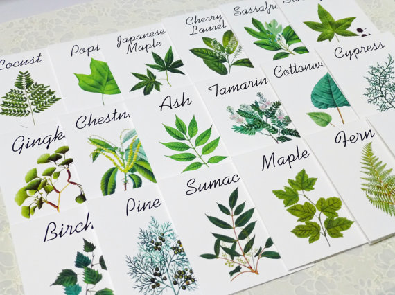 Wedding Table Name Ideas (via EmmalineBride) by leaf decor